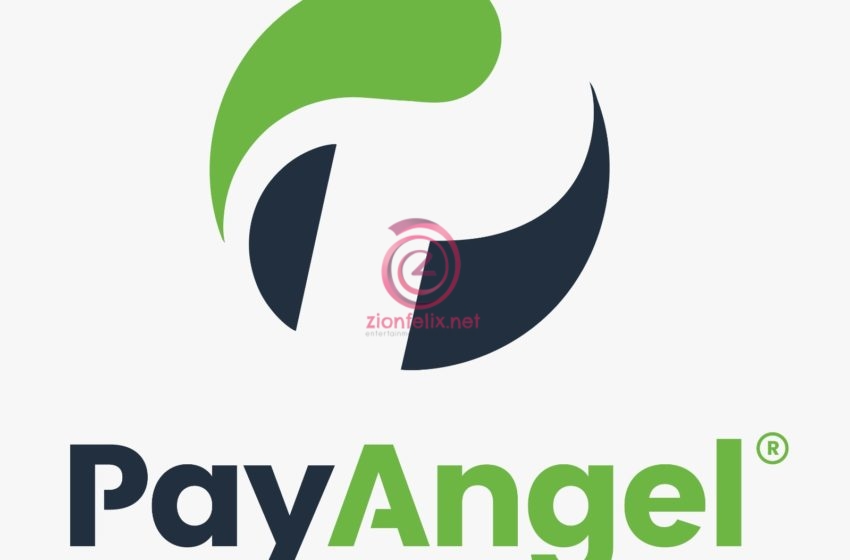 PayAngel Money Transfer Introduces Remitcare In Partnership With Allianz Life Ghana
