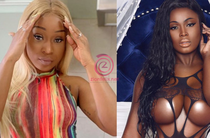 Video Of Efia Odo And Singer Nina Ricchie In A Verbal Exchange Using Multiple F-words Causes Stir