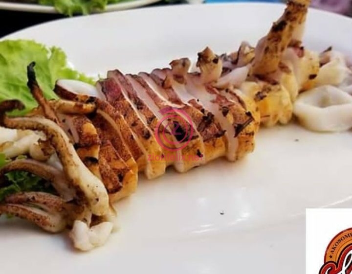 Akosombo Grill Factory Launched (See Photos And Videos)
