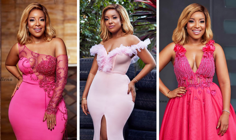 Felix Kwakye Ofosu Clears Air On Joselyn Dumas’ Alleged Appointment As Deputy Director Of Diaspora Affairs