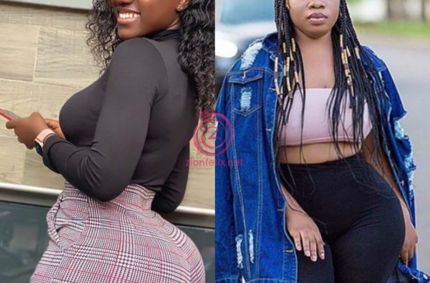 Moesha Buduong Lands In Trouble With Netizen For Saying Hajia Bintu’s ‘Form’ Is Beautiful When Hers Is ‘Fake’ (+Screenshot)