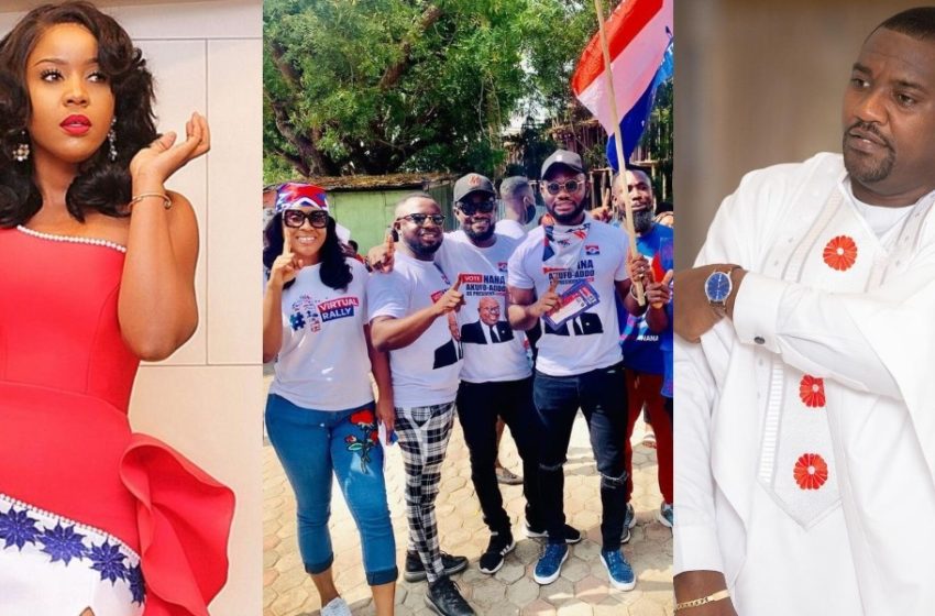 Our Genuine Love And Support For NPP Has Pushed Others To Show Their Fake Love To Dumelo – Actress Jessica Williams Fires (See Post)