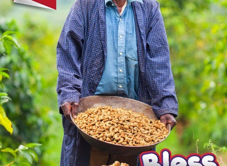 McBerry Biscuits Embraces Supporting Ghanaian Farmers