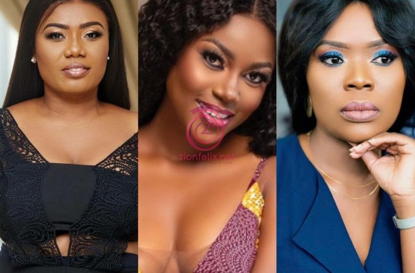 Yvonne Nelson, Bridget Otoo And Other GH Celebrities Descend On Akuffo-Addo Following Nationwide Dumsor (+ Screenshots)