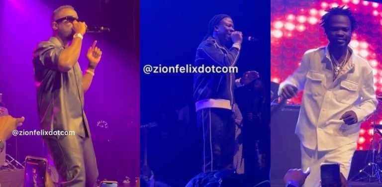 #AccraInParis: Sarkodie, Stonebwoy, Kwabena Kwabena, Fameye, And Other Stars Shutdown France With Spectacular Performances – Watch Videos