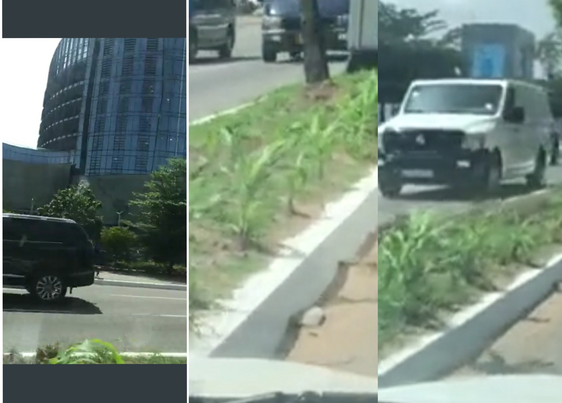 Video: Ghanaian take planting for food and jobs to another level, plants maize in the median strip of busy Accra road Accra street farm