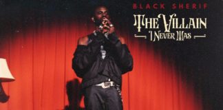 Focus on dropping more singles and solidifying your brand before album – Black Sherif told