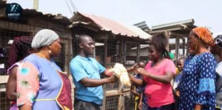“Santa Zionfelix” buys out chicken seller at Alade Market and gives them all out for free (Video)