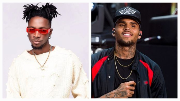 Incredible-Zigi-Chris-Brown