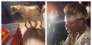 AY Poyoo Attends ZionFelix’s Birthday Party With A Goat (Video)