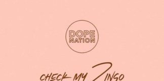 DopeNation Features Sarkodie On ‘Check My Zingo’