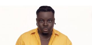 I Won’t Vote, I’ll Rather Choose To Prepare Chicken Light Soup On Election Day- Agbeshie