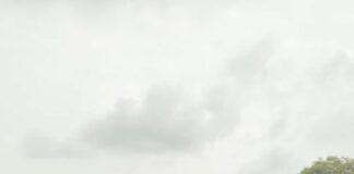 Mjthecomedian Roar’s With 1xbet Dashiki Festival