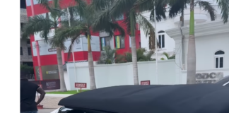 Actress Nikki Samonas storms town with her new convertible Mercedes Benz