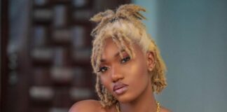 I Never Said I Was Coming To Replace Ebony — Wendy Shay Clears The Air On Rumours