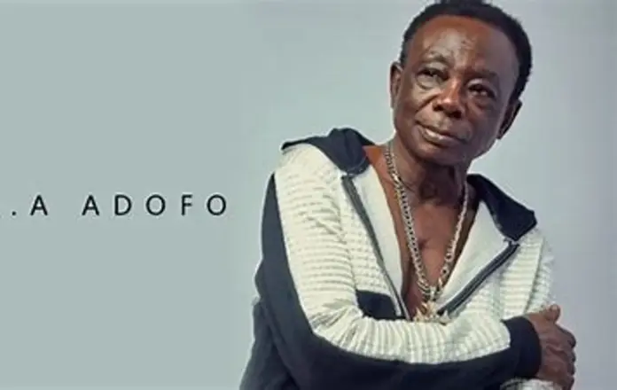 Adofo J.A Adofo