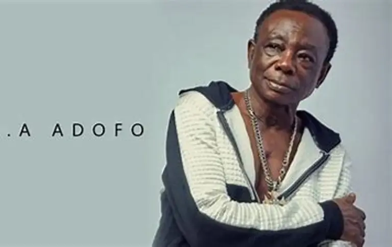 J.A. Adofo Opens Up About Mahama’s Support During His Illness